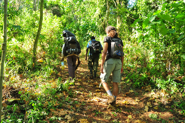 3 Days mount elgon Safari - Hiking & Mountaineering