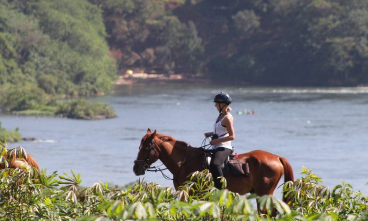 Horse Riding in Jinja