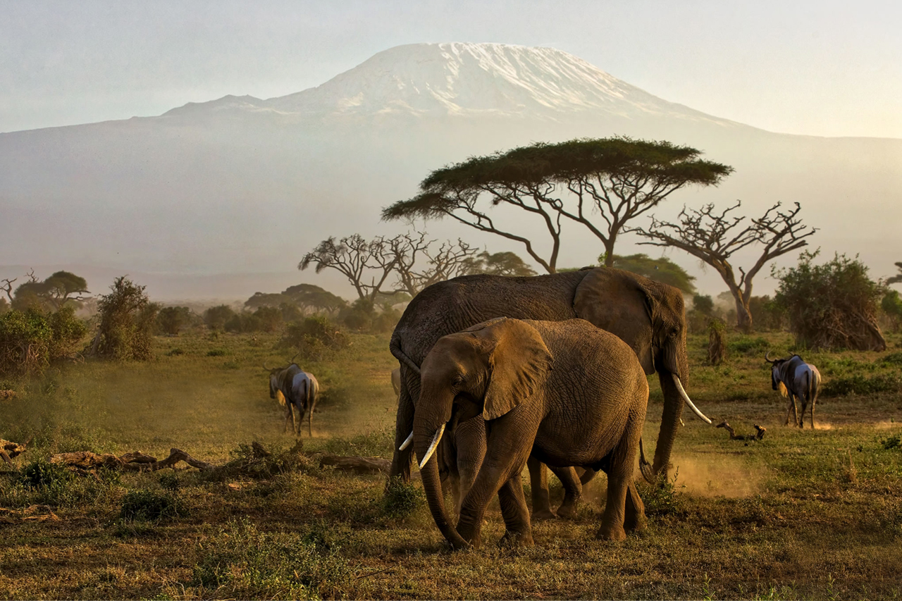 3 Days Amboseli National Park Wildlife Safari