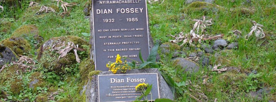 2 Days Dian Fossey Hike Tour