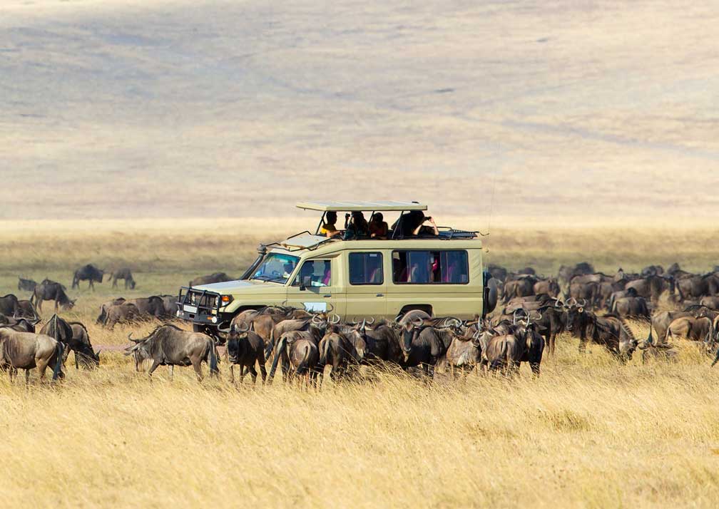 15 Days Tanzania, Kenya and Uganda Safari