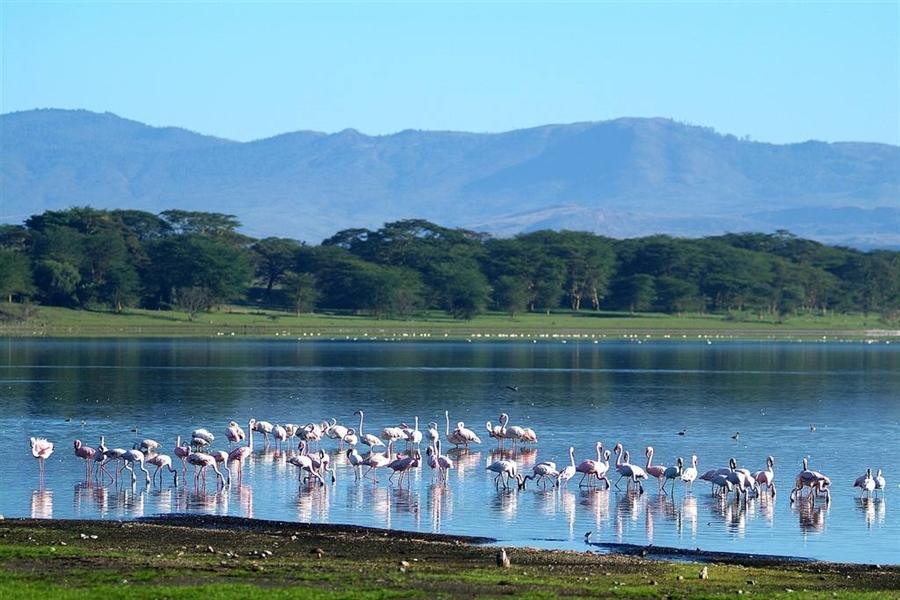 Best Tanzania Safari and Holiday Destinations