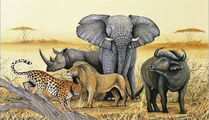 The African big 5 animals in Uganda | Uganda Safaris Tours | Uganda