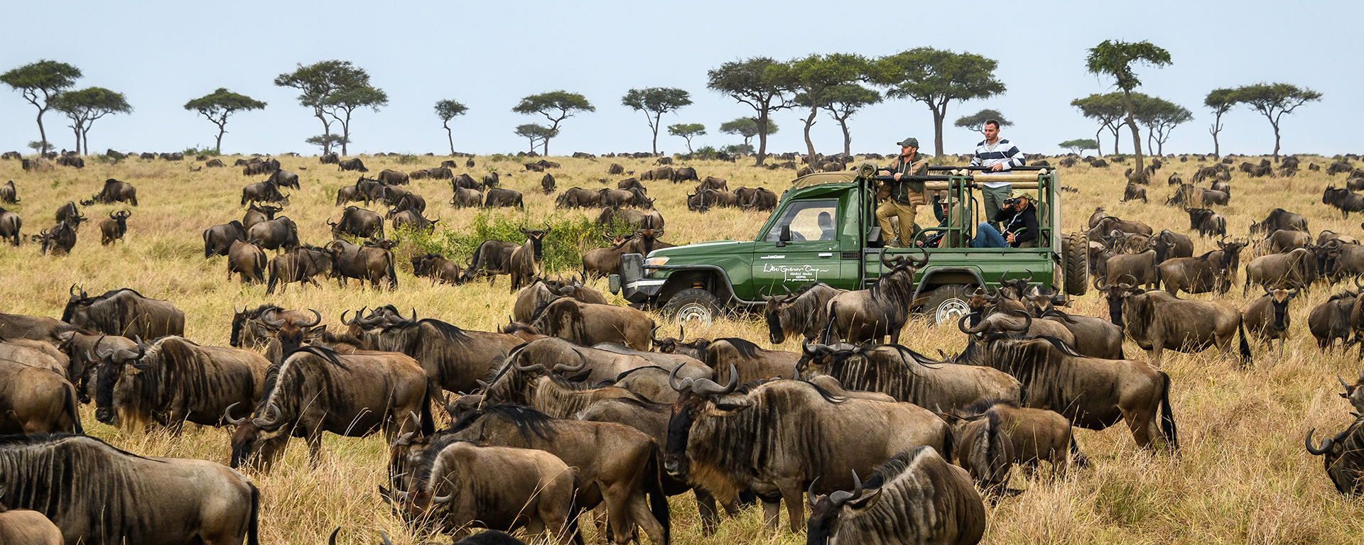 Wildebeest Migration Tour